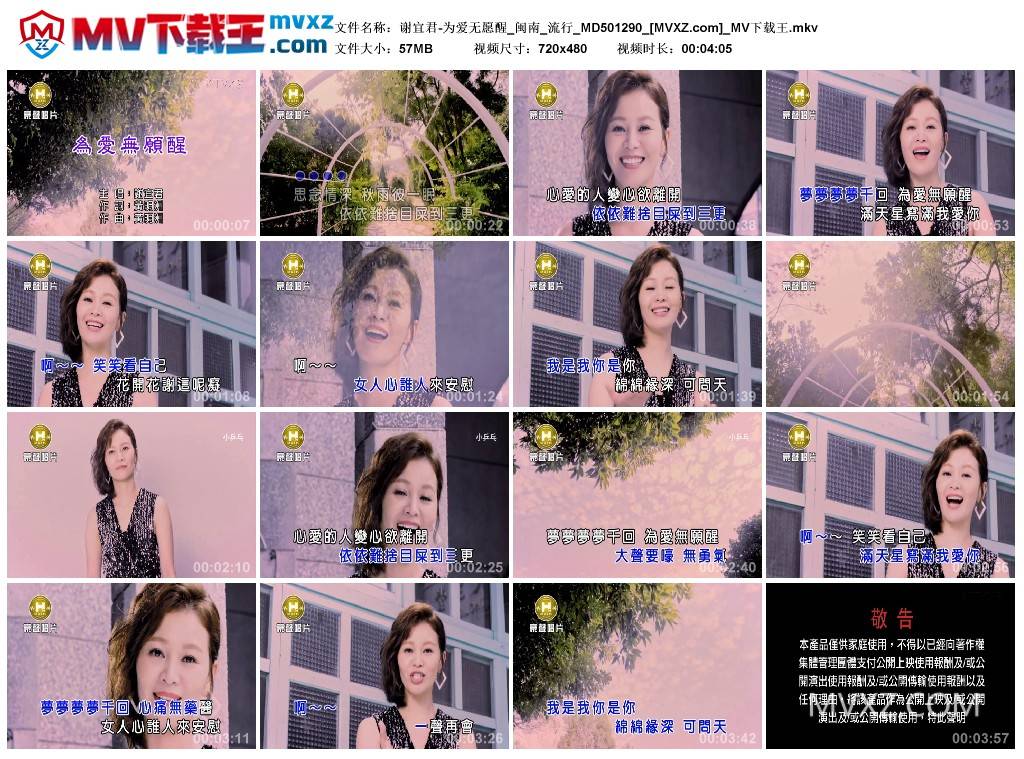 谢宜君-为爱无愿醒_闽南_流行_MD501290